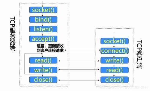 計(jì)算機(jī)網(wǎng)絡(luò) socket編程