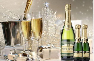 天津西班牙氣泡酒進口報關代理